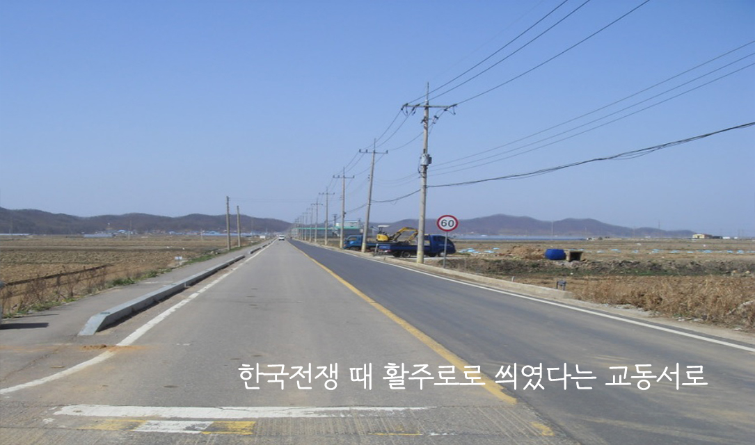 ��������(11����)