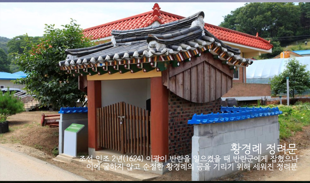 Ȳ���������