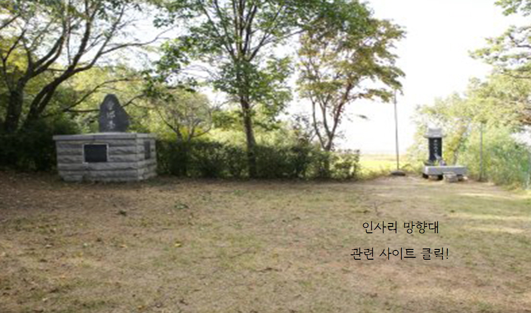 �λ縮 �����