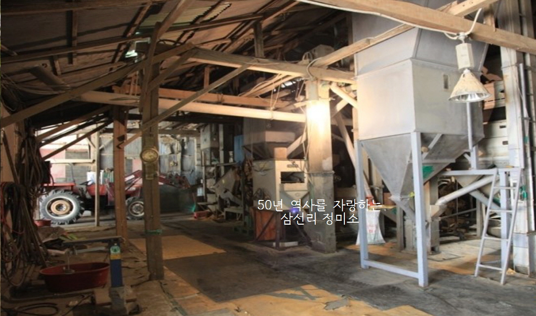 �Ｑ�� ���̼�